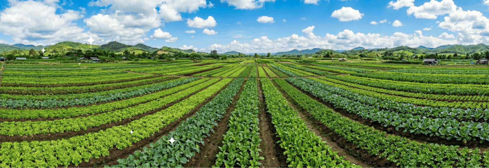 ปกเว็บ Avagro แนะนำผลิตภัณฑ์เกษตร