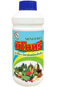 มิโนทรี