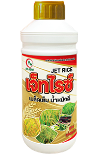 เจ็ทไรซ์