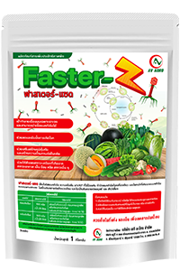 ฟาสเตอร์ แซด