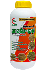 สทอร์ม-เอฟ