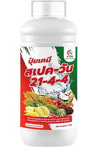 สเปค-วัน