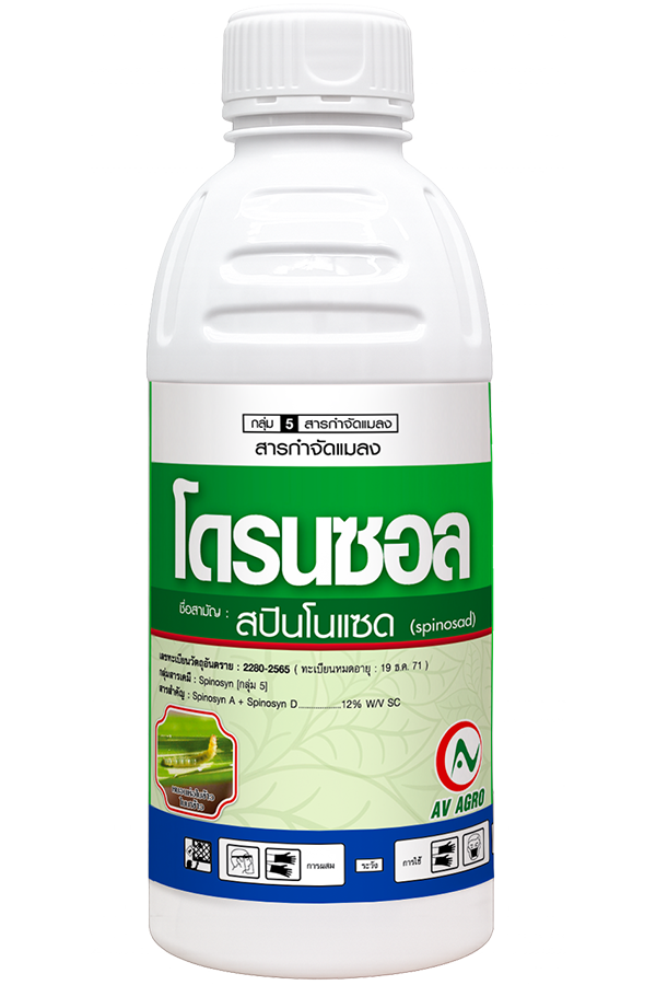โดรนซอล